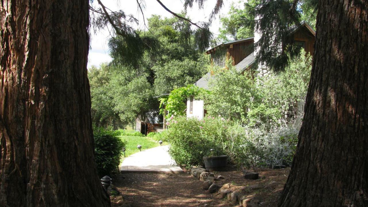 Yosemite Rose Bed And Breakfast Groveland Zewnętrze zdjęcie