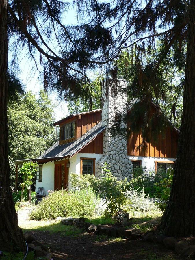Yosemite Rose Bed And Breakfast Groveland Zewnętrze zdjęcie
